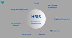Read more about the article How Hris Software Can Reduce Employee Turnover Rates
